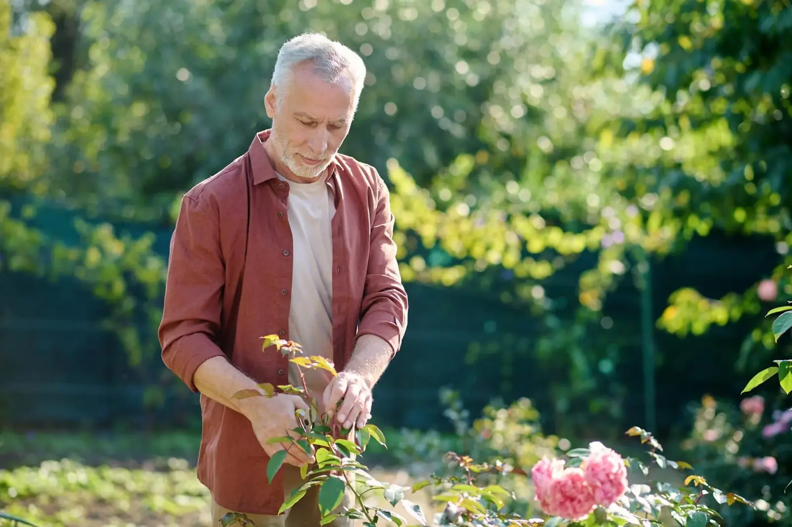 Hands carefully tending small potted plants on a sunlit surface